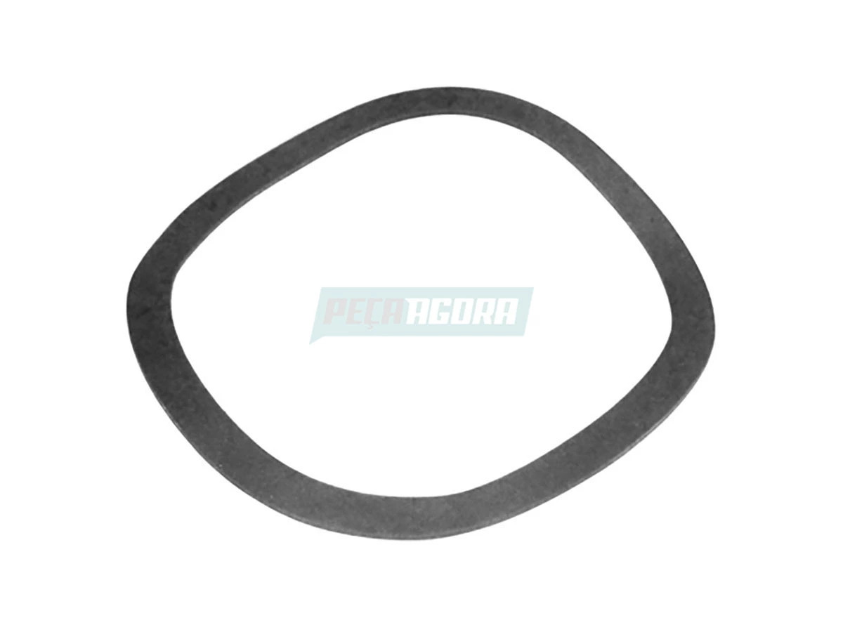 ARRUELA ONDULADA DE ACO BG1T7220C (BG1T7220C)