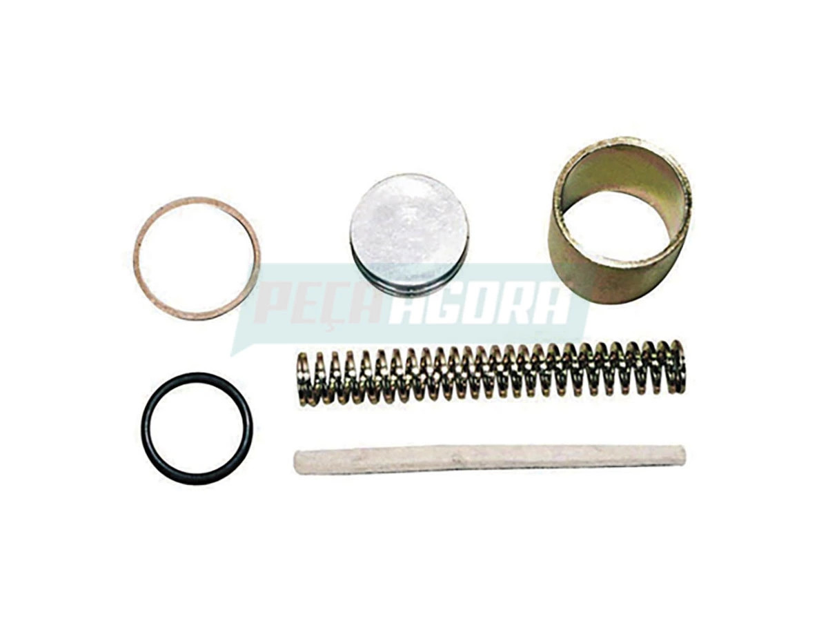 KIT REPARO DA REDUZIDA (ML0030)