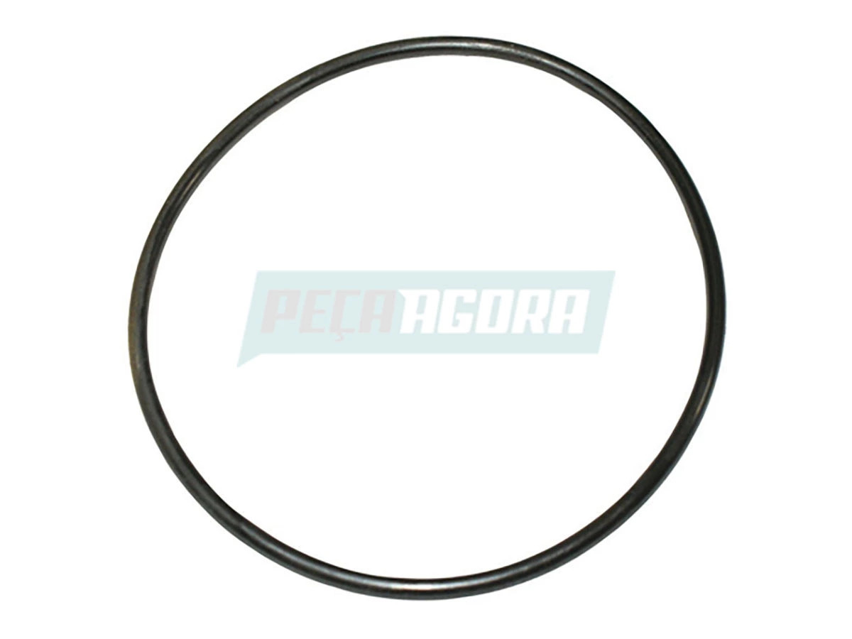 ANEL DO FILTRO 2RP127491 ML0255 (ML0255)