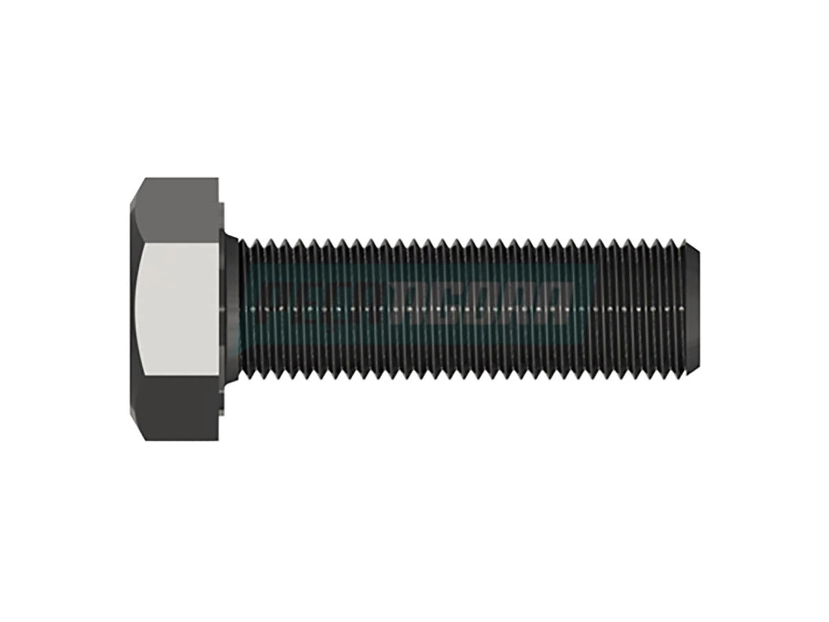 PARAFUSO (N010217.1)