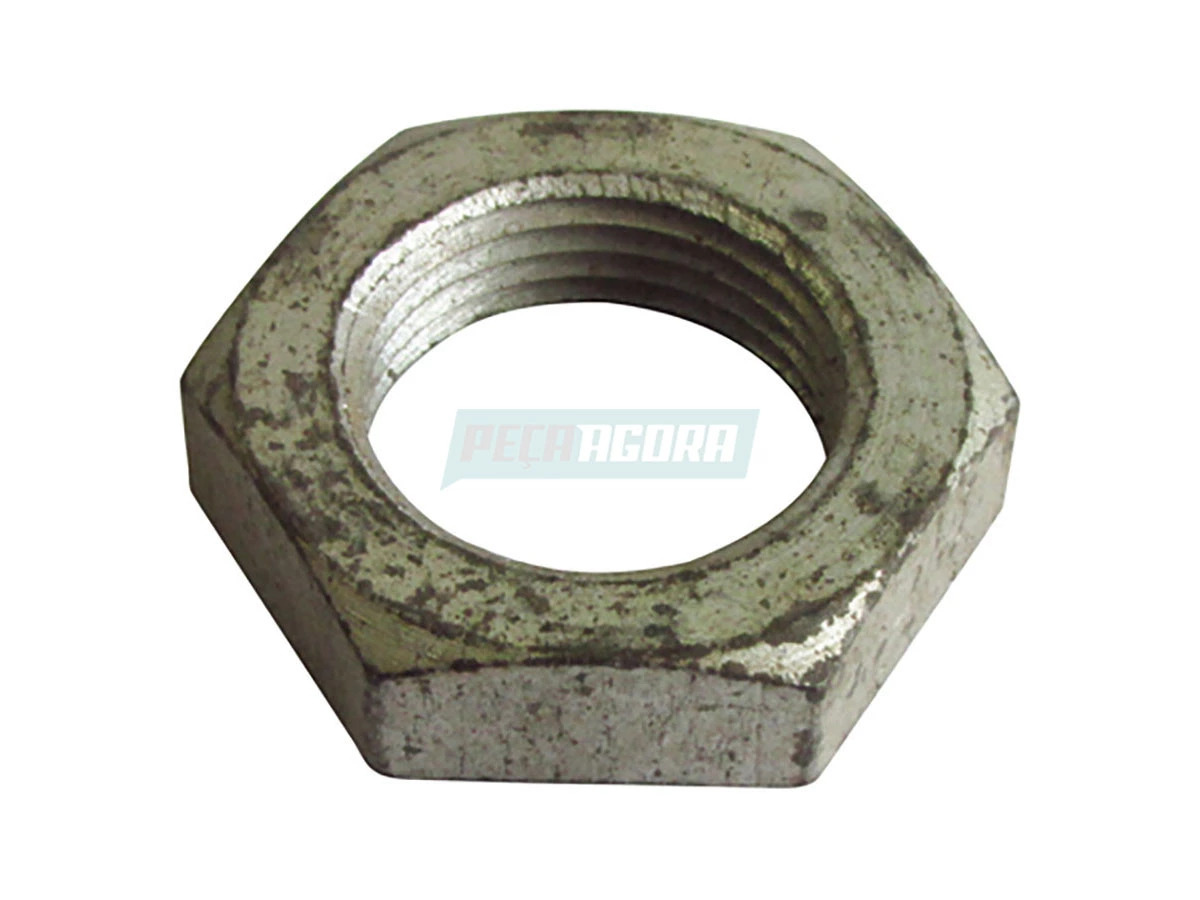 PORCA VW (N021284.1)