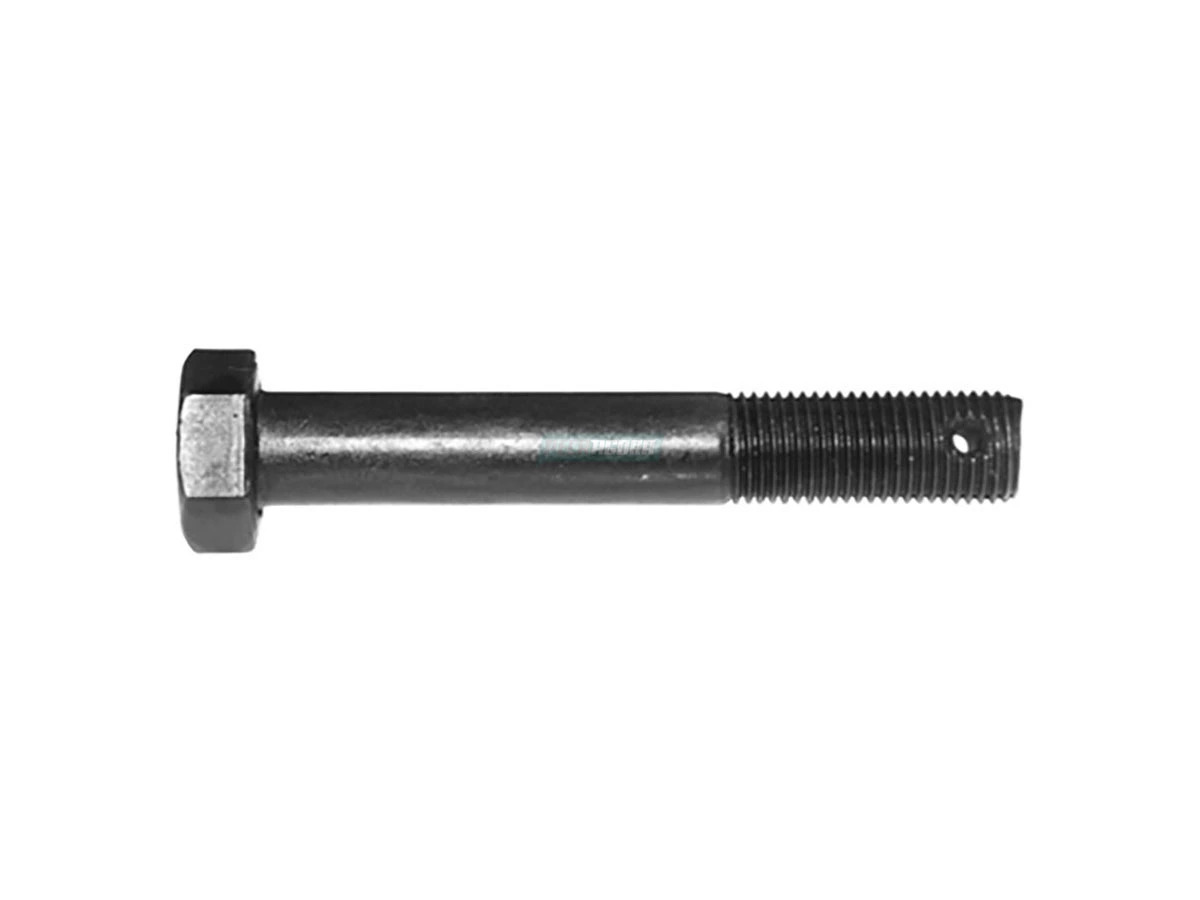 PARAFUSO UNIVERSAL (N100013.01)