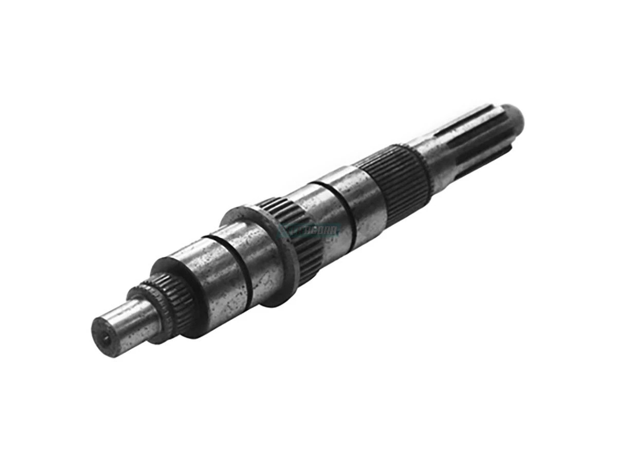 EIXO PRINCIPAL (T06311461.)