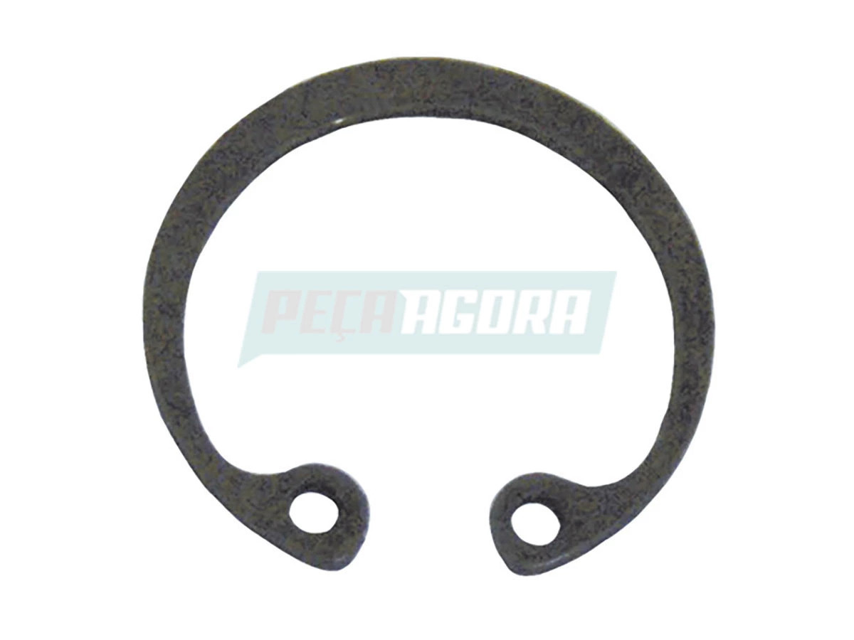 ANEL T11253875 (T11253875)