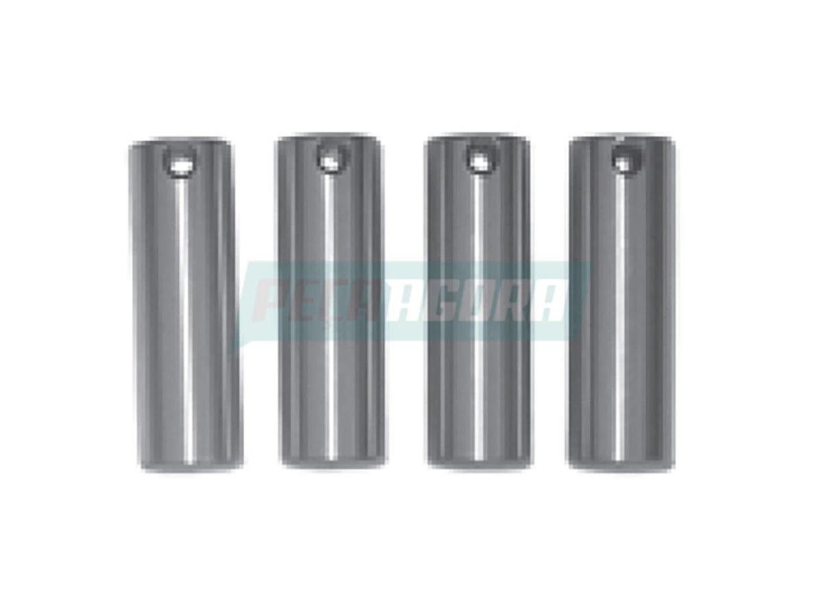 PINO BRONZE 220 (T12525879A)