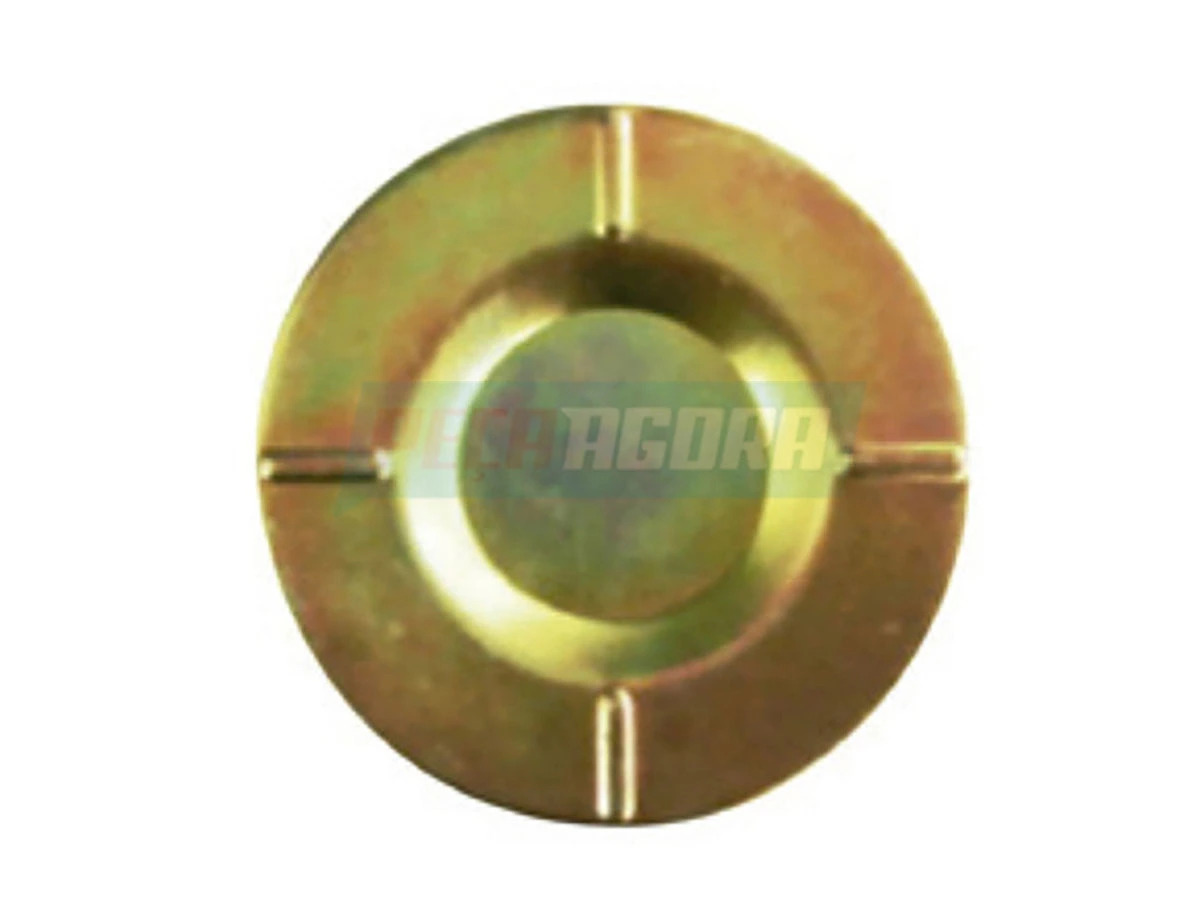 TAMPAO CARCACA AGRALE MA12.0 2005 DIANTE FS4205A TCA MA9.0 2007 DIANTE FS4205A C