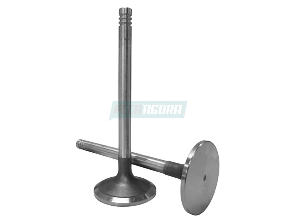 VALVULA ADMISSAO MOTOR MWM X10 X12 VW 7100 8100 8140 14200 14150 12140T 12180 14