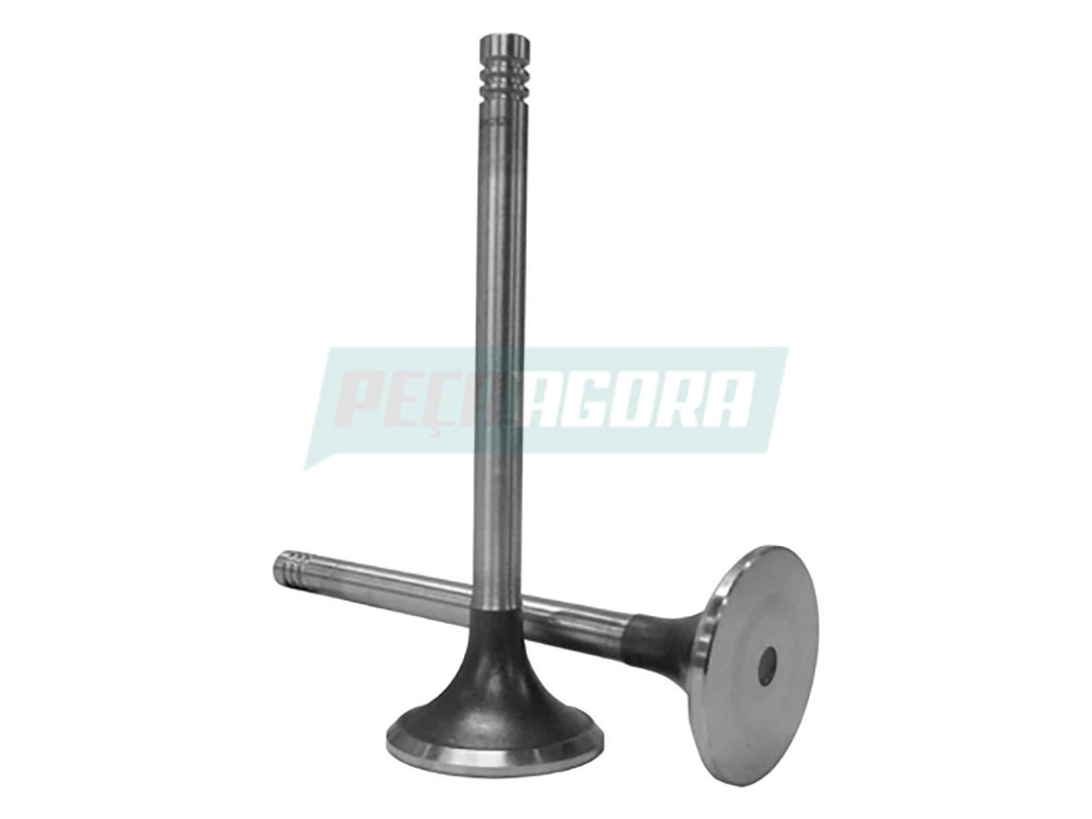 VALVULA ESCAPE (TAE109611)