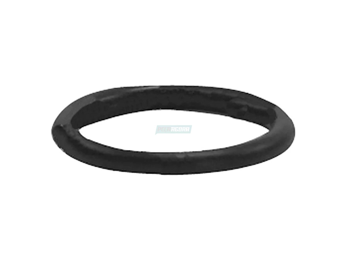 ARRUELA TE3103607 (TE3103607)