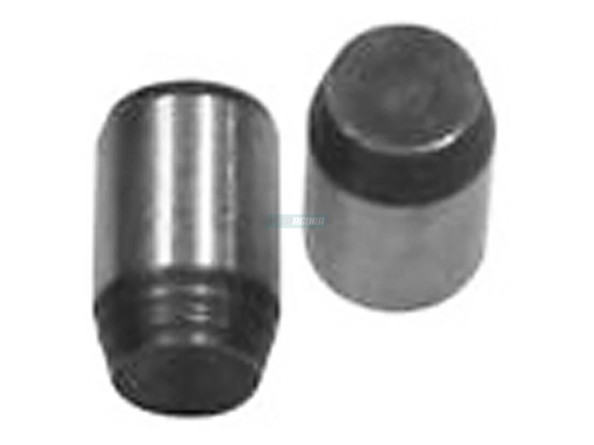 PINO GUIA (TE3103875A.)