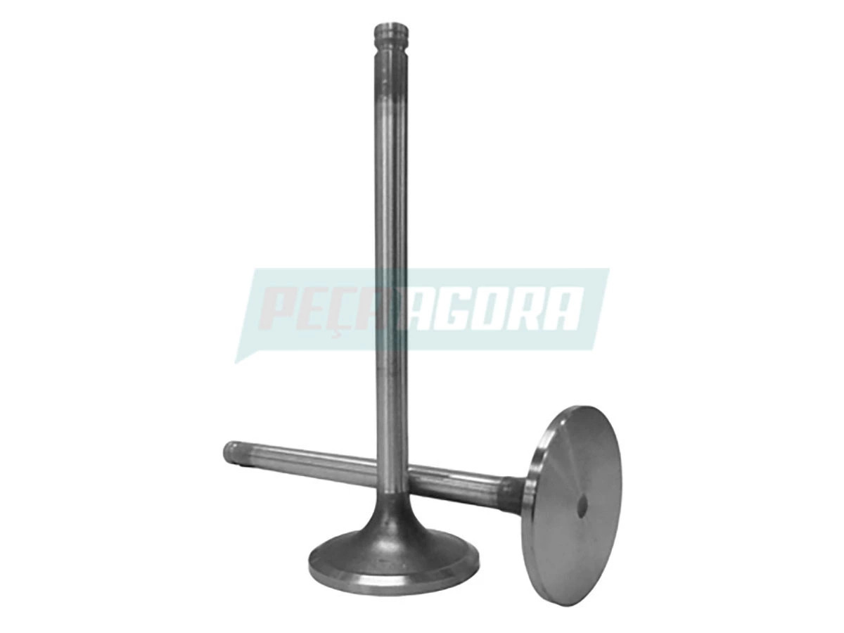 VALVULA ADMISSAO (TE3109601.)