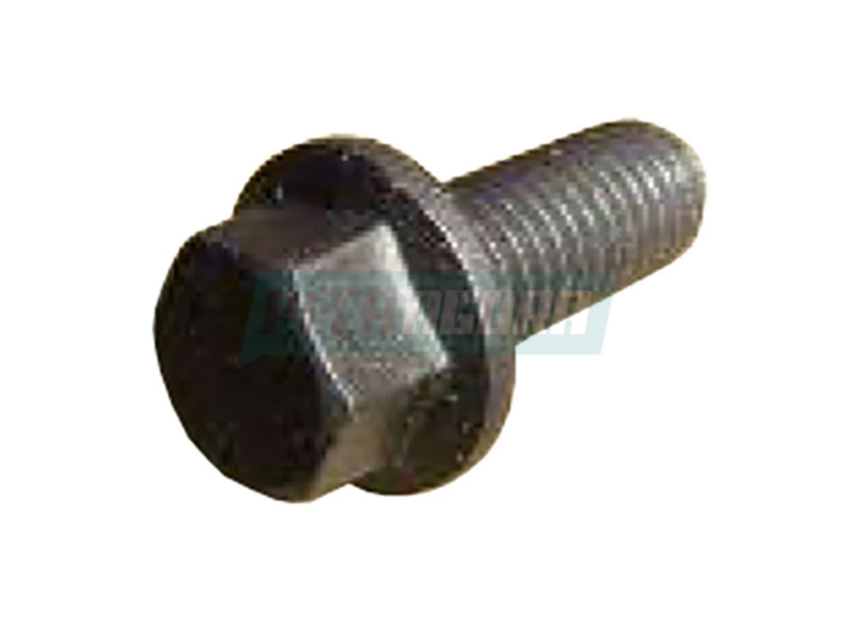 PARAFUSO SEXTAVADO FLANGE M8X1,25X20 MOTOR CUMMINS 1731 2622 2626 1717 1517 1521