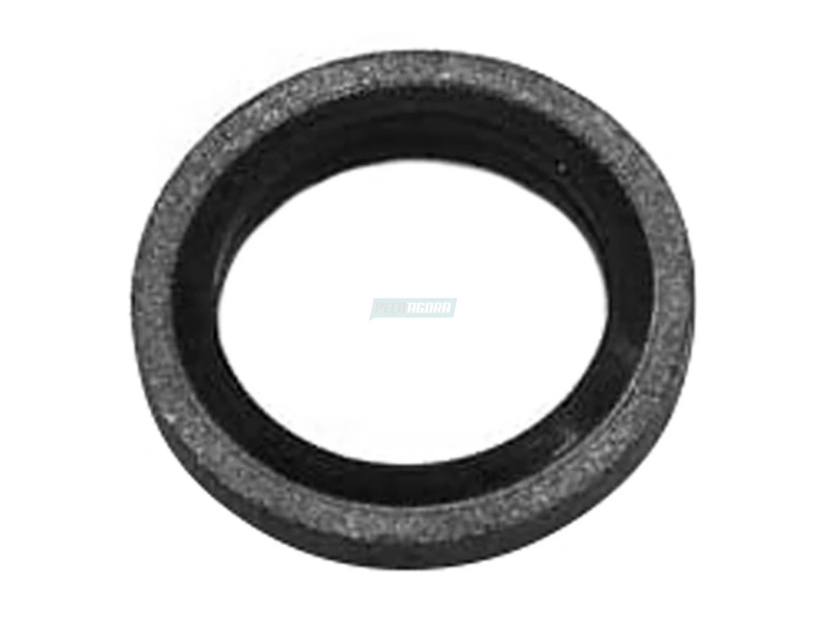 ARRUELA TE3127255 (TE3127255.)