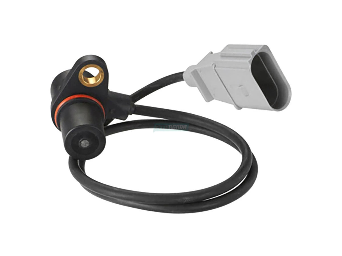 CONEXAO (TE3145461.)