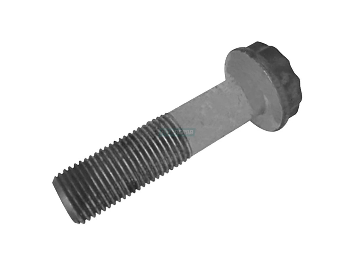 PARAFUSO (TE3145663.)