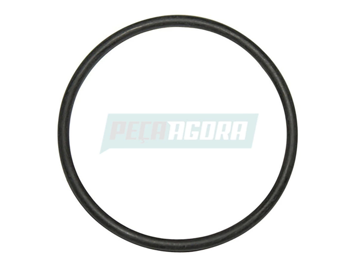 ANEL VEDADOR SUPORTE FREIO S VW FORD EIXO DIANTERIO 16 TONELADAS (1205G761)