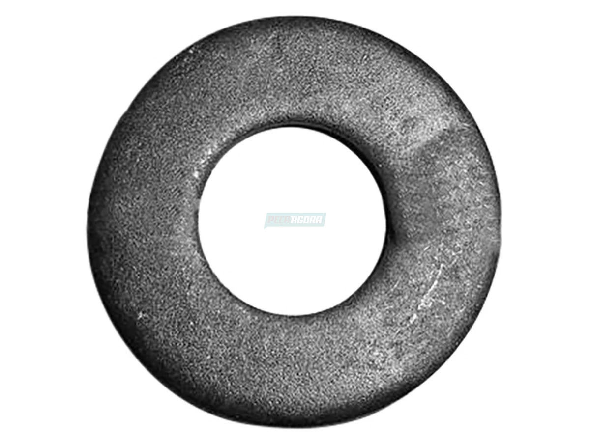 ARRUELA TF3145669 (TF3145669.)