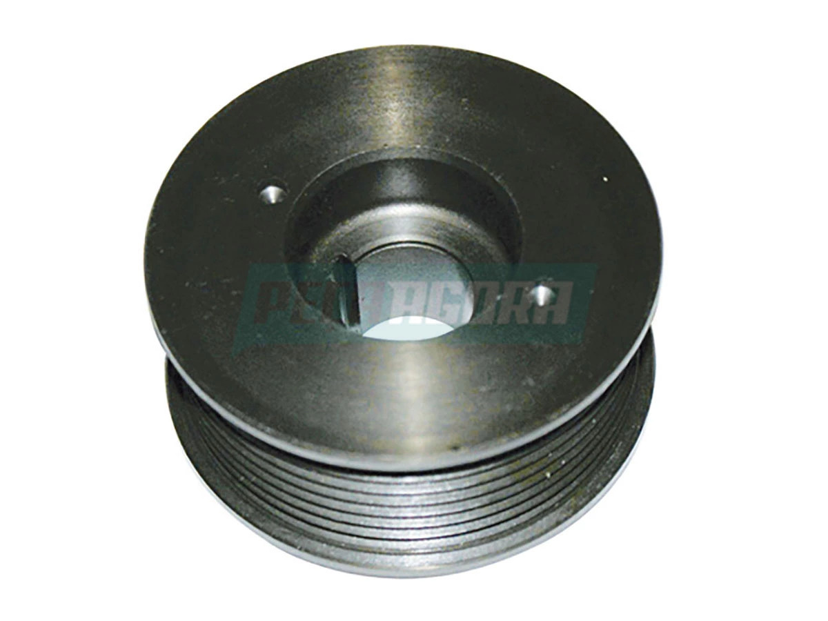 POLIA ALTERNADOR ONIBUS 16180 16210 17210 (TJ3903119AS)