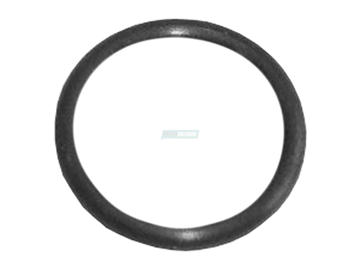 ANEL VEDACAO VWWAGNE (TJG115311A)