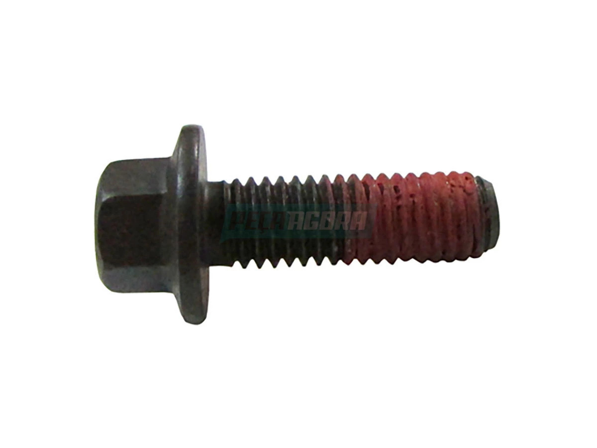 PARAFUSO (TJG129725-IW)