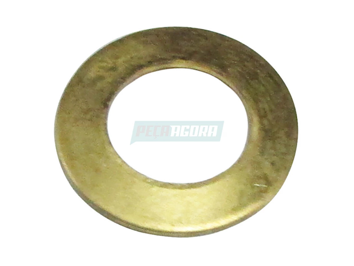 ARRUELA ORIG TJG311681 (TJG311681)