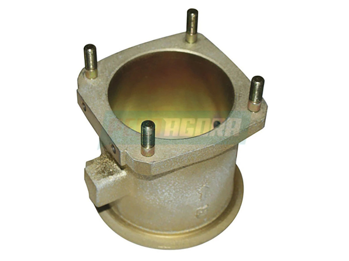 CARCACA TN4253857 (TN4253857)