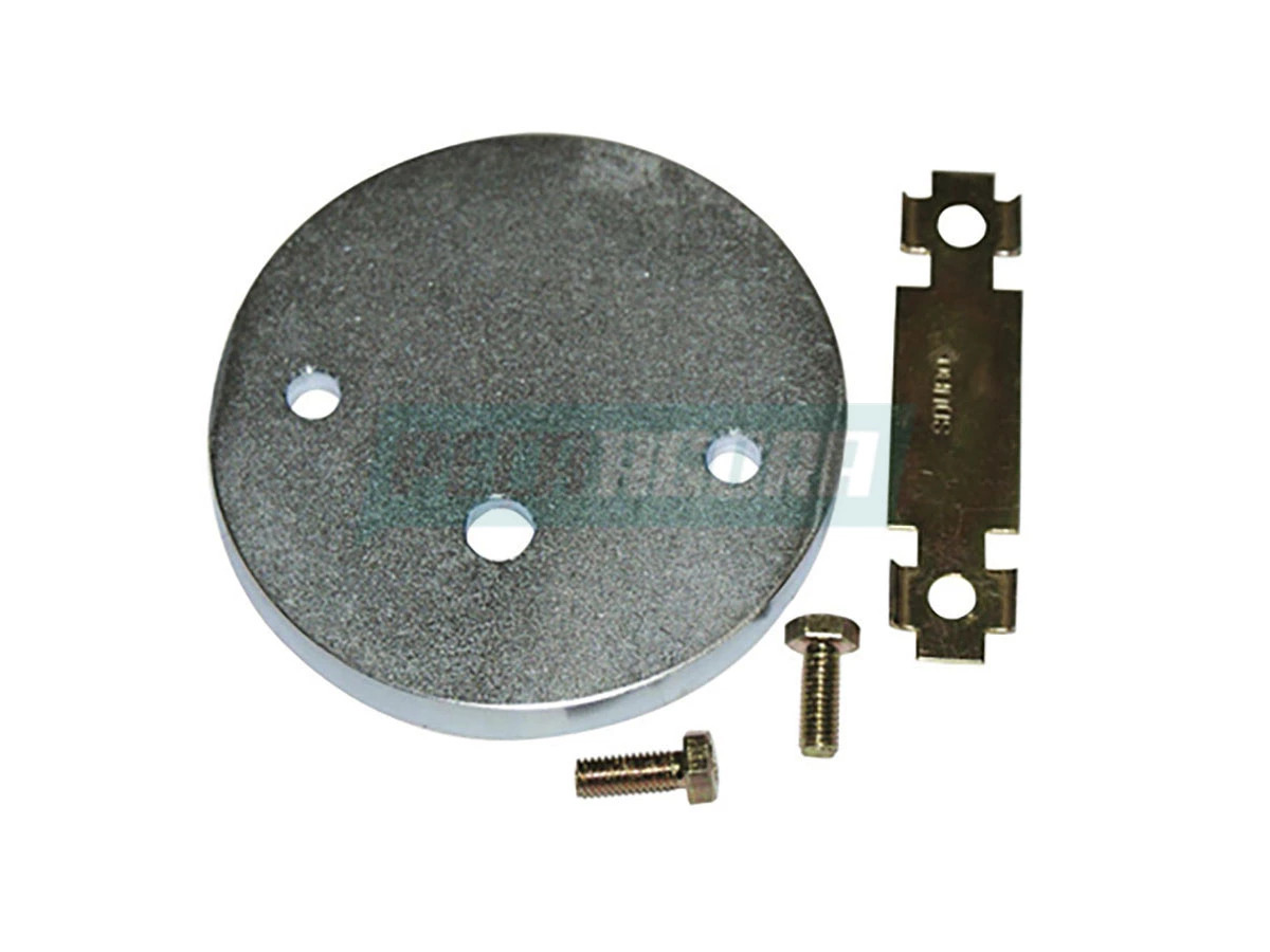 BORBOLETA TN4253867 (TN4253867)