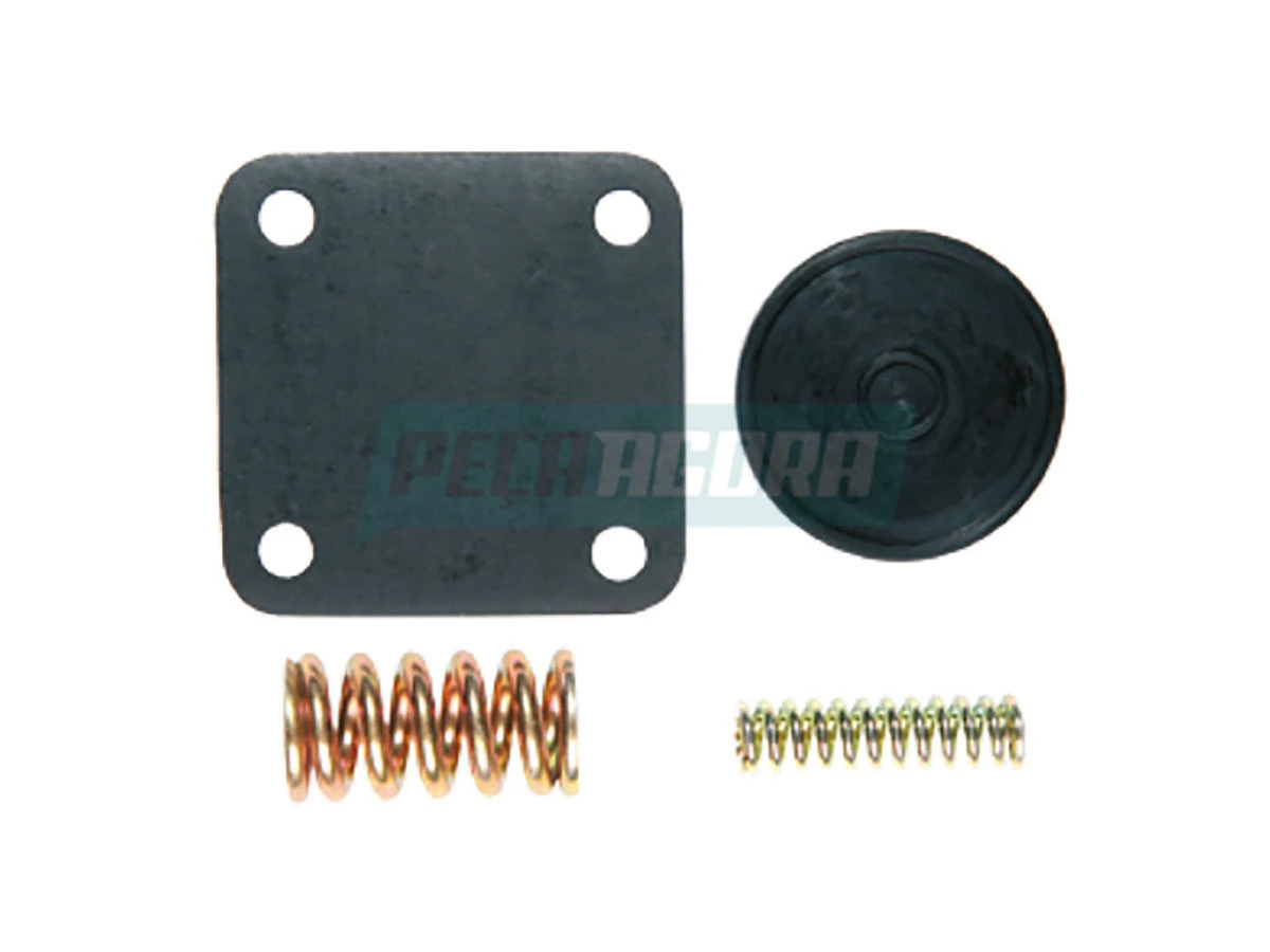 REPARO VALVULA FLUXO (0005865842-9)