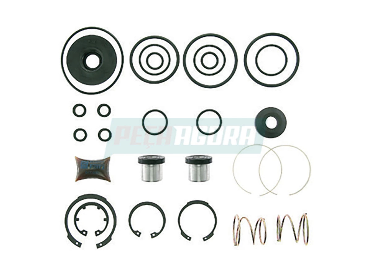 REPARO VALVULA PEDAL (0005867243W)