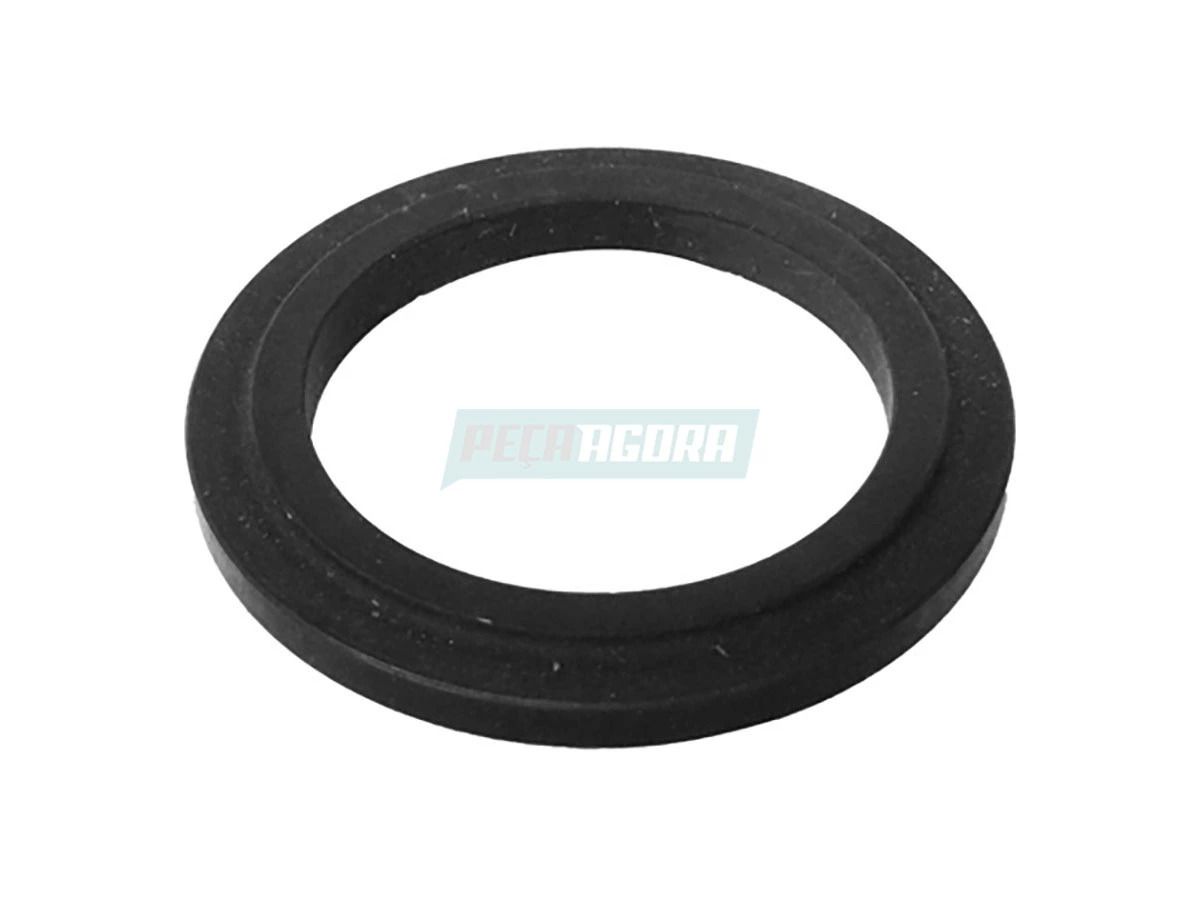 ARRUELA ENCOSTO 3343784 (3343784)