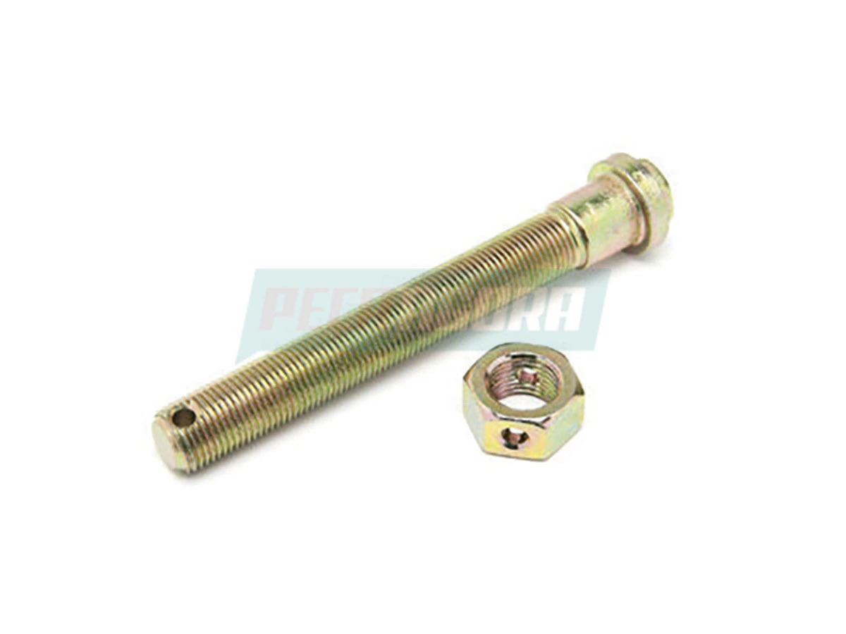 CONJUNTO PORCA E PARAFUSO ACUMULADOR (8845380122)