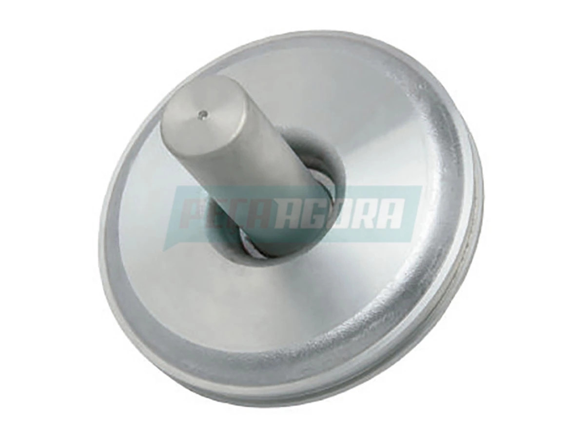 PISTAO ACUMULADOR (9254326202)