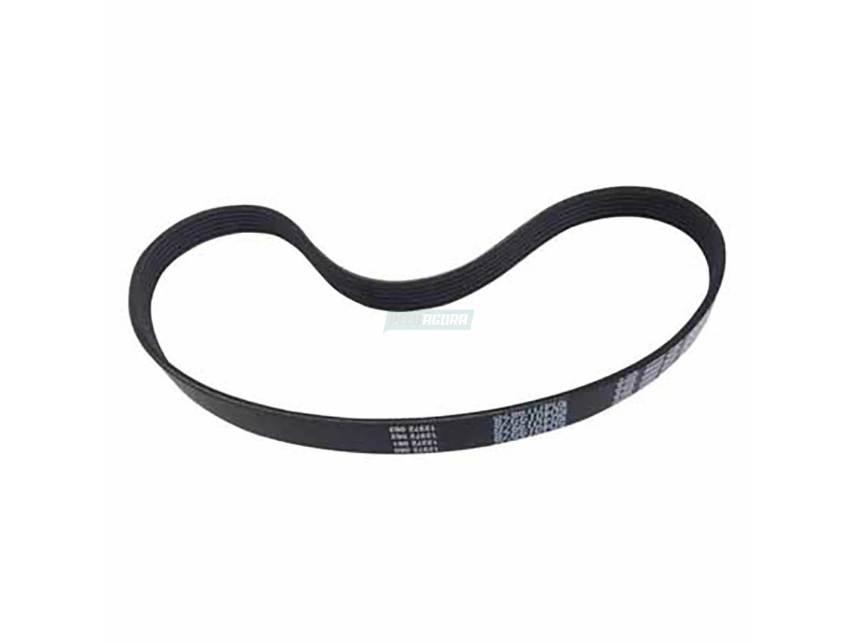 CORREIA POLY V FIAT DUCATO 2.8L TURBO DIESEL 8V 98 A 2006 ALTERNADOR BOMBA AGUA 