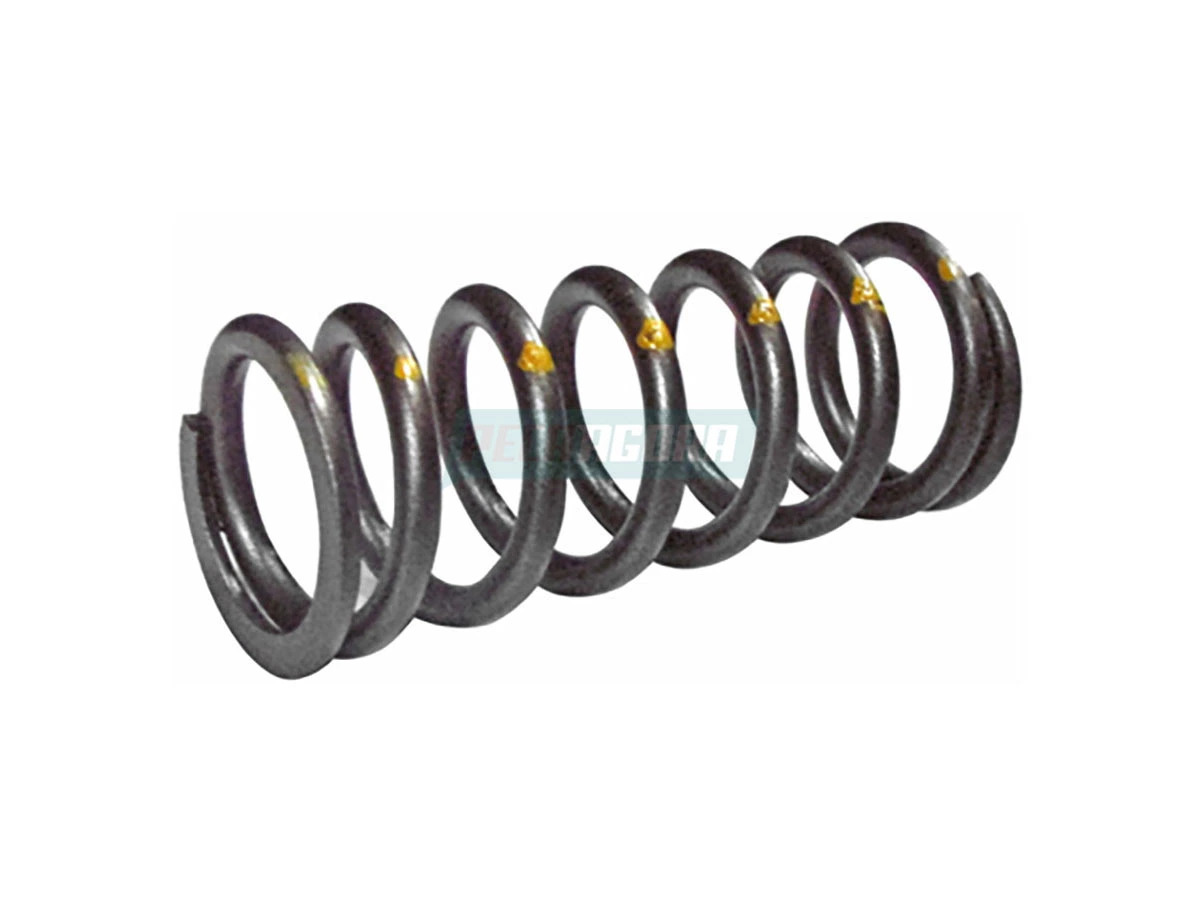 MOLA VALVULAS MOTOR MAXXFORCE AGRALE W8 W9 VOLVO VM270 VM330 (6020101169003)