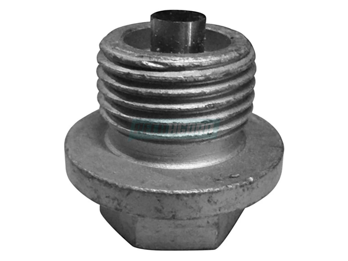 BUJAO DRENO CARTER EURO 5 AGRALE W8 W9 VOLVO VM220 VM270 VM330 (6020101098004-70