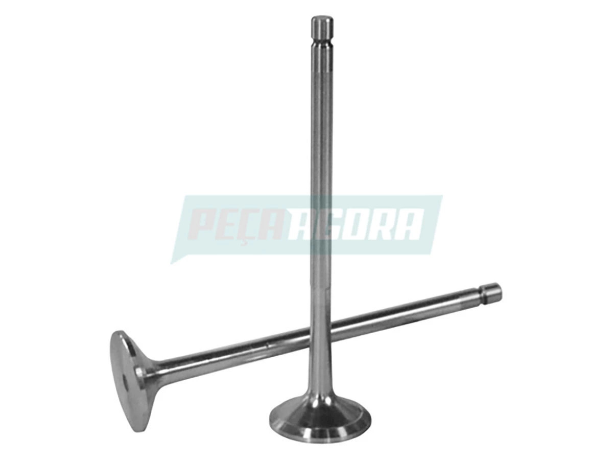 VALVULA ESCAPE 36 GRAUS OM904-906-924-926 36 GRAUS = EURO 5 (9060500827.)