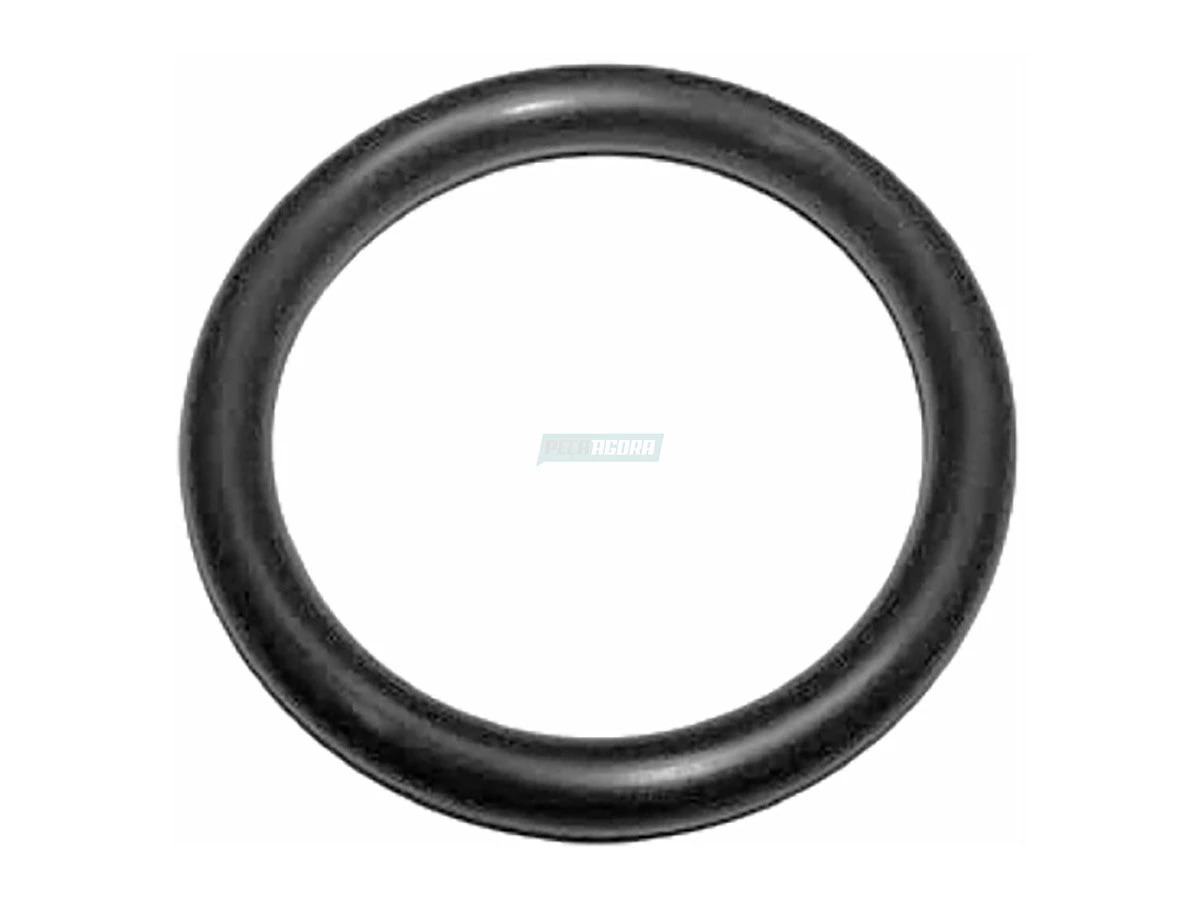 ANEL ORING INJETOR EURO V AGRALE W8 W9 VOLVO 20X3 VM220 VM270 VM330 (60201012890