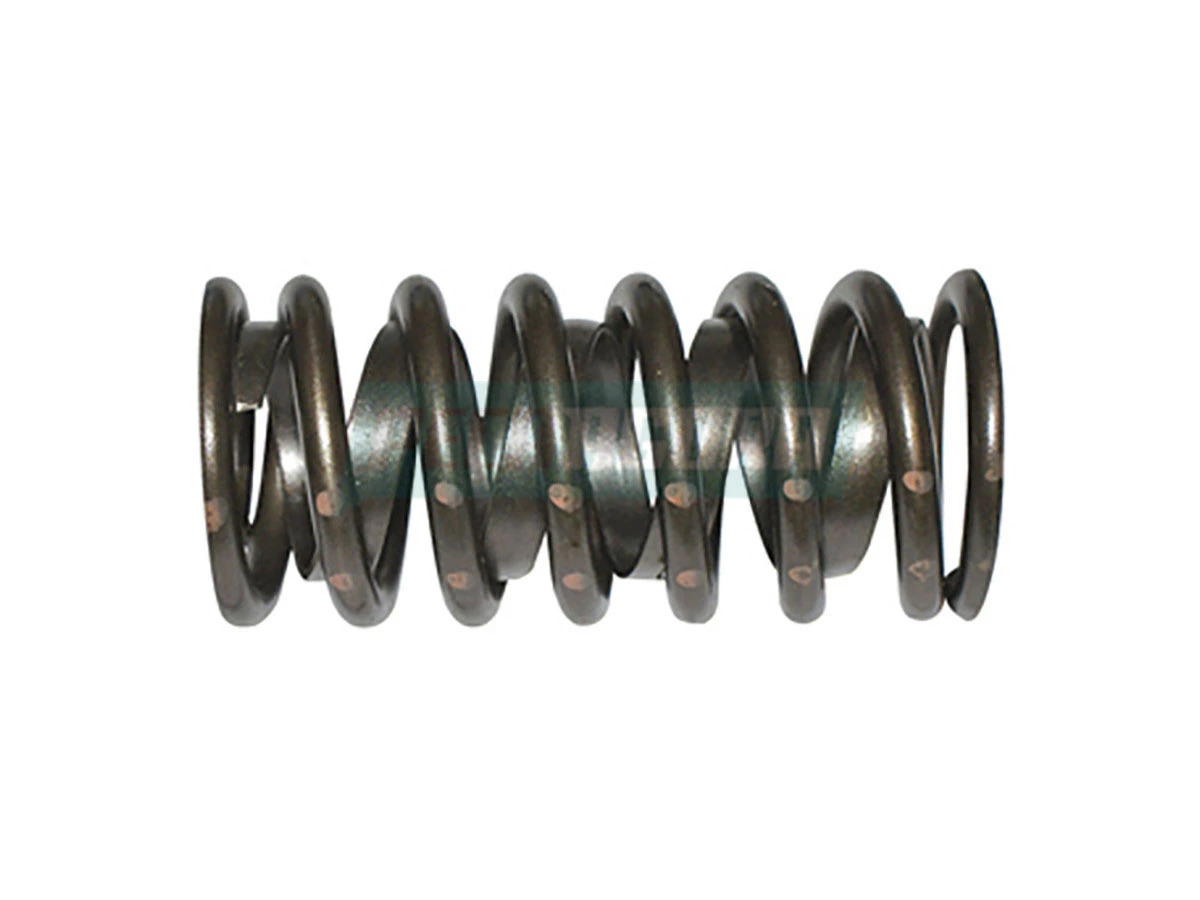 MOLA DUPLA VALVULA ESC (TJG109624-ID)