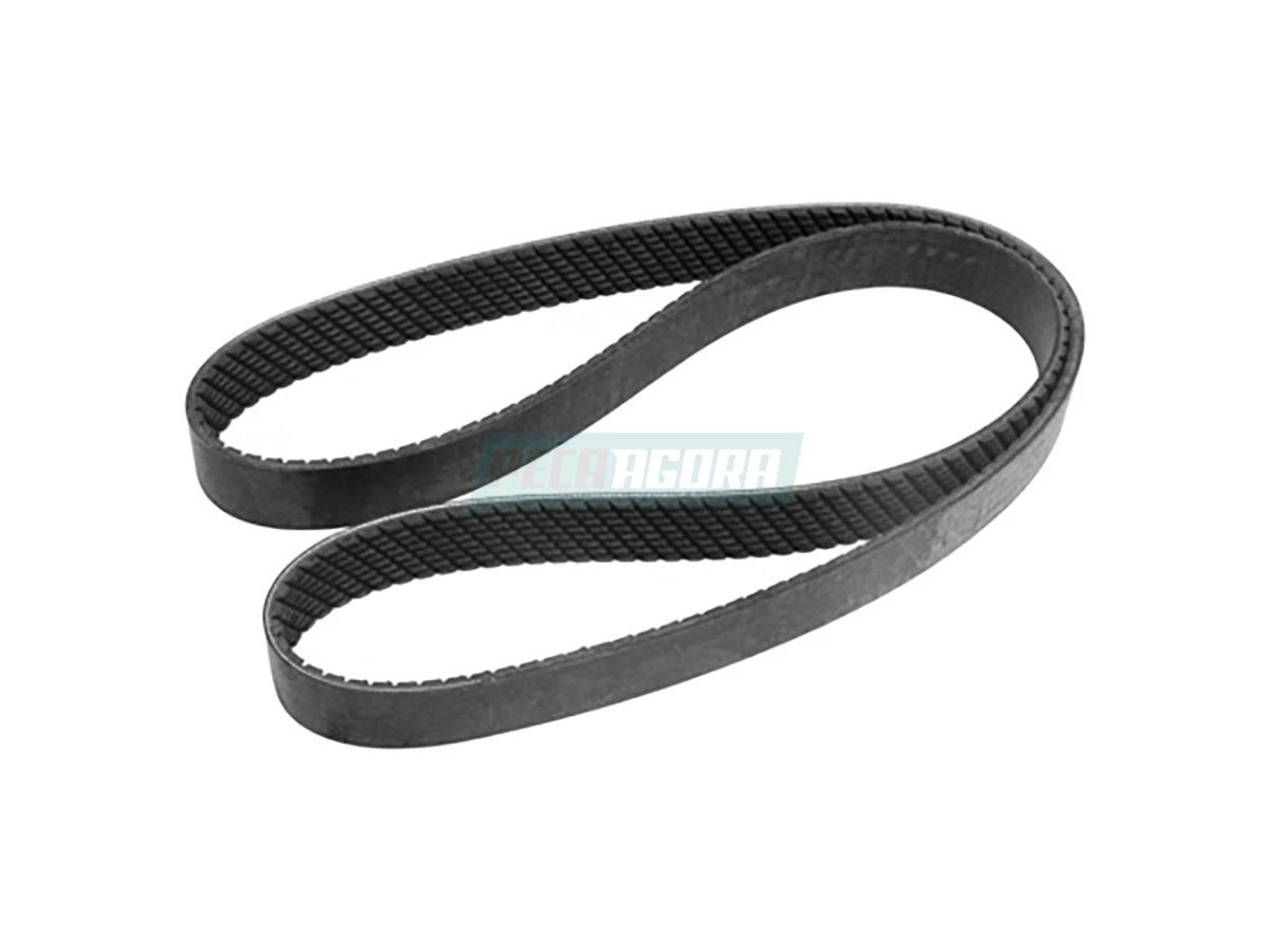 CORREIA 6013201063002 (6013201063002)