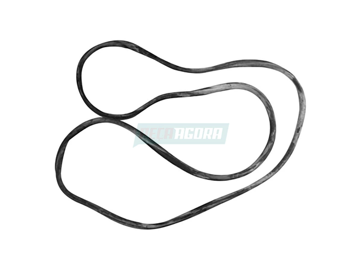 GUARNICAO PARABRISA W8 AGRALE W8 (10328810)