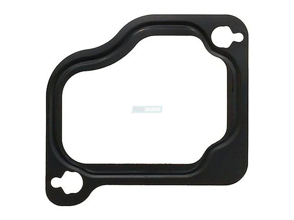 JUNTA COLETOR ADMISSAO MOTOR F1C (20794356)