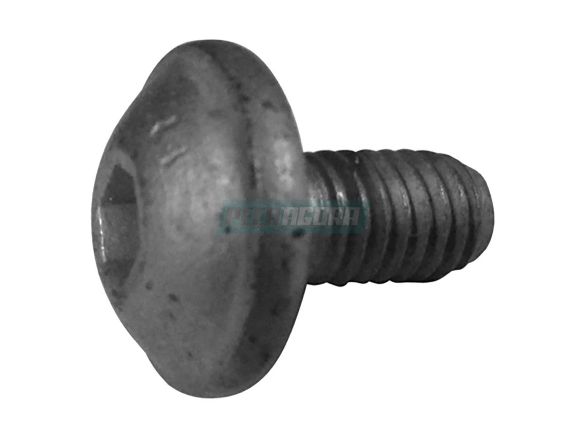 PARAFUSO EIXO BALACEIRO EURO V AGRALE W8 W9 VOLVO VM220 B270F VM270 VM330 (60201