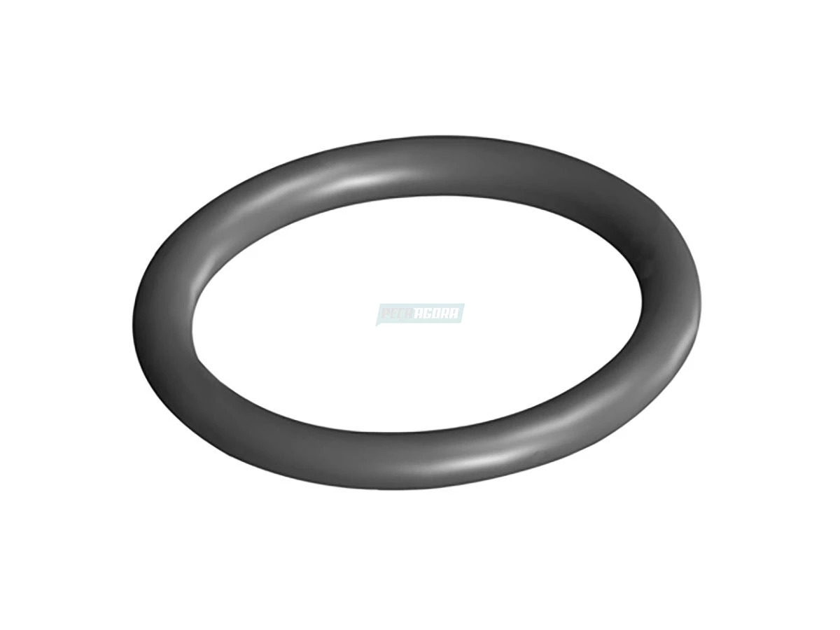 ANEL VEDACAO VW TURBO CARTER OLEO BOMBA ASPIRACAO OLEO (2R0103196)