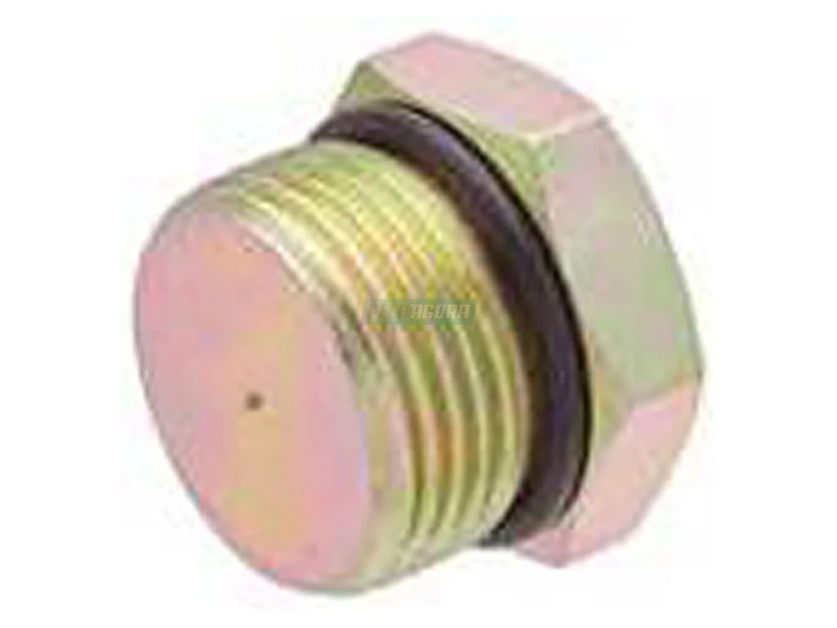 PLUG SEXTAVADO M12 X 1,5 (ML2757)