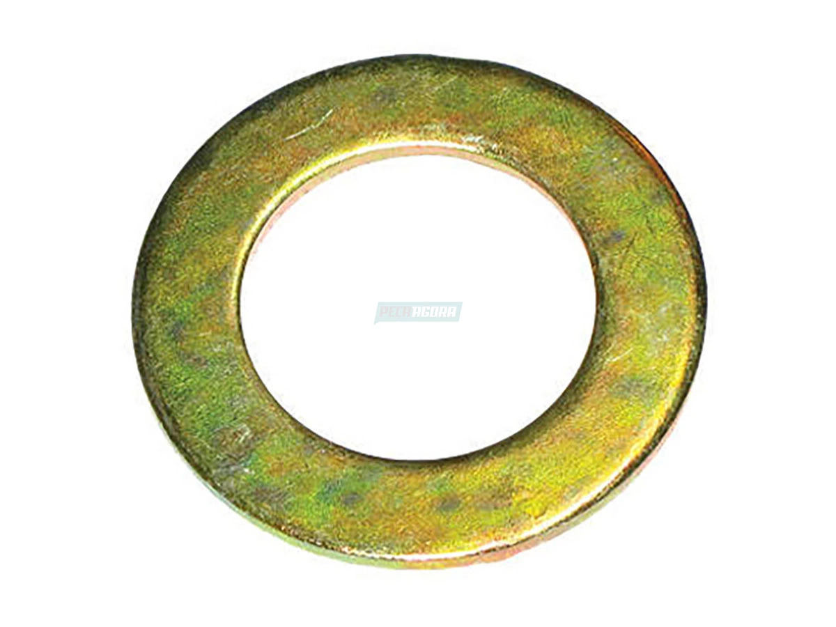 ARRUELA EIXO S 38MM 210002031 (210002031_)