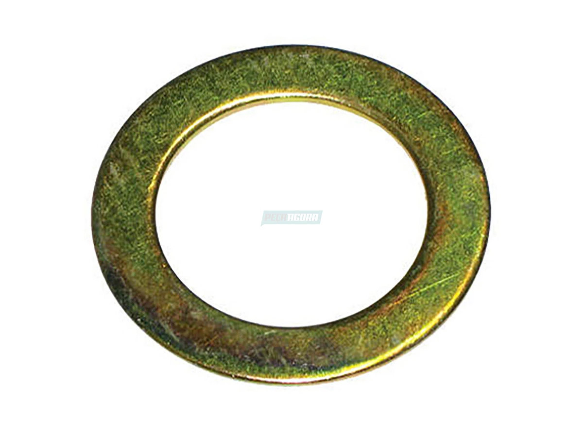 ARRUELA EIXO S 42MM 251000017 (251000017|)