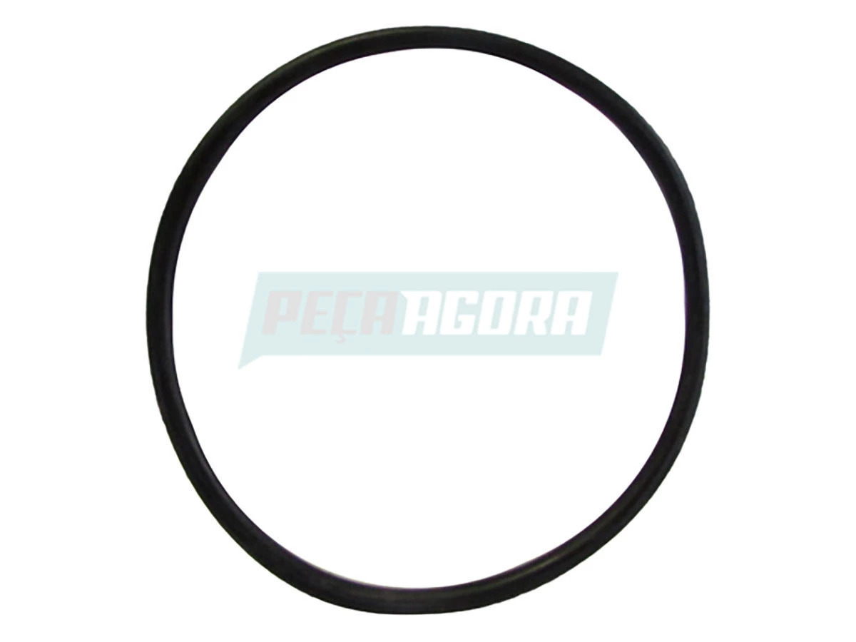 ANEL VEDACAO BOMBA COMBUSTIVEL VW 13190 2012 DIANTE CONSTELLATION ADVANTECH EURO