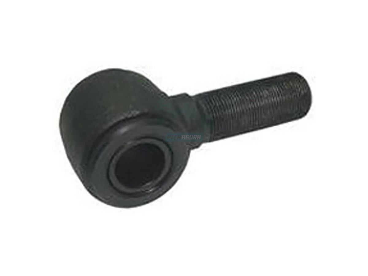 TERMINAL HASTE LE (3452407021.)