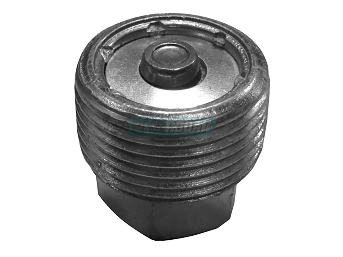 BUJAO ELETROMAGNETICO IVECO DAILY COM CAMBIO 6S420 (42558796.)