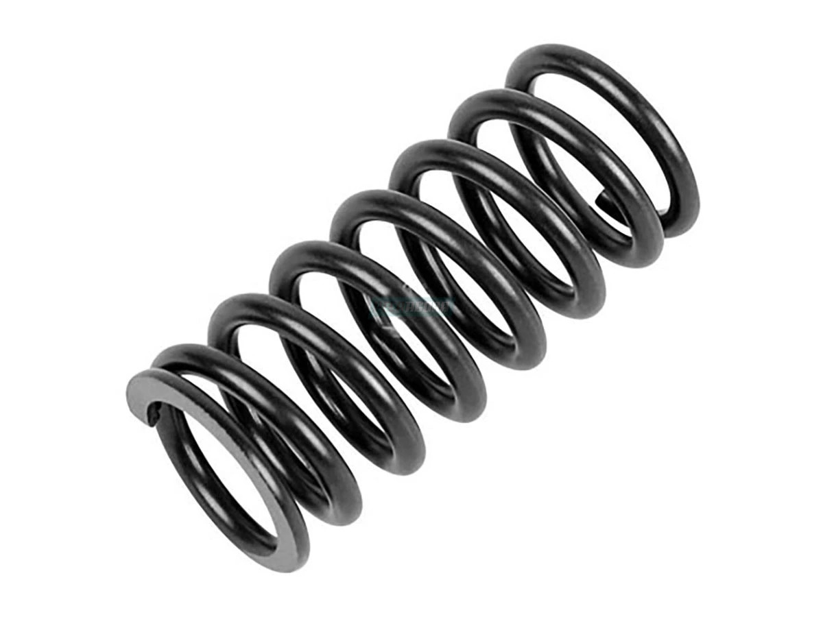 MOLA VALVULA ADM/ESC OM457 EURO 5 (5410530120_)